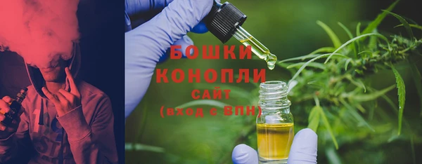 хмурый Абаза