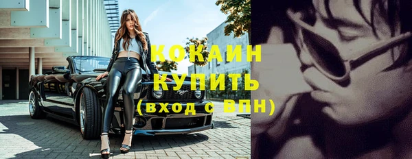 прущие грибы Пересвет