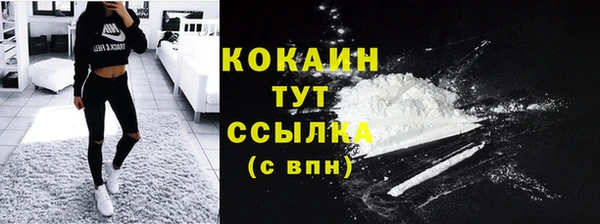 прущие грибы Пересвет