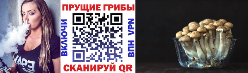MEGA ССЫЛКА  Камень-на-Оби  Галлюциногенные грибы Magic Shrooms 